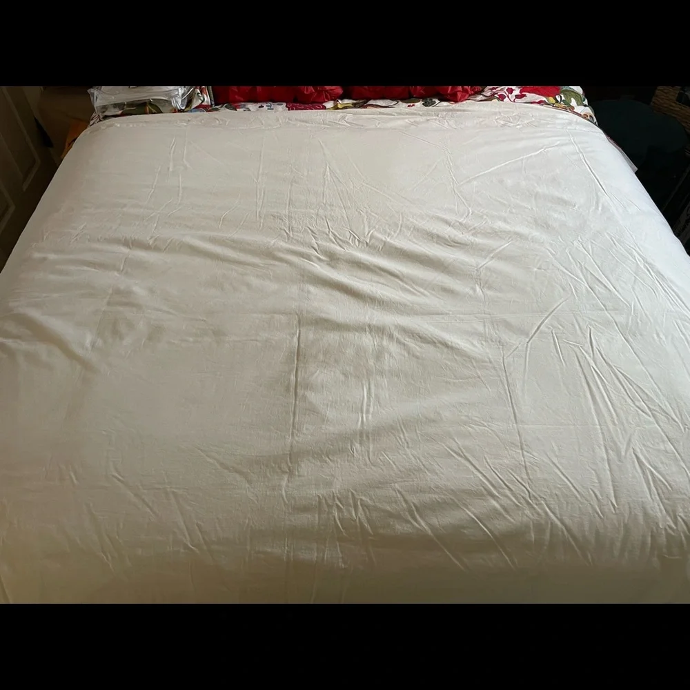 Pottery Barn Serafina Twin Duvet set